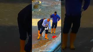 New Trevi Fountain Trend Is Crazy 