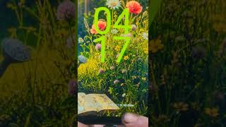 Redmi A2 slow charging solution#smartphone #repairing