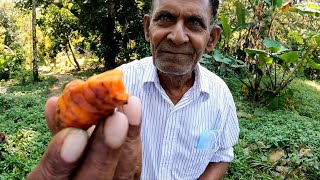 I Found the only Hindu Community in all of Guatemala