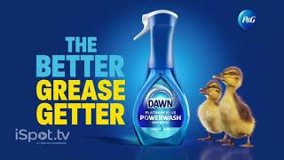 Gunjan - Dawn Dish Soap - English 30