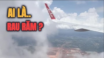 GIÓ ĐƯA CÂY CẢI VỀ TRỜI, RAU RĂM Ở LẠI CHỊU ĐỜI ĐẮNG CAY.