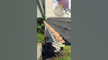 Help Me Shut Down The Gutter Guard Industry!