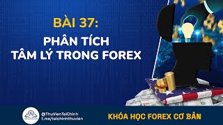 Bài 37: Phân Tích Tâm Lý Thị Trường Trong Đầu Tư Forex | Khóa Học Forex Cơ Bản | Kiếm Tiền Forex