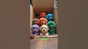 #viral #dog #puppy #cute #monkey #ai #shorts #shortsviral #shortvideo #shortsfeed #baby #subscribe