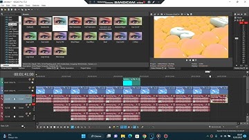 How To Make Inverted Color On VEGAS Pro 17.0?