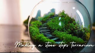 how to make an easy stone steps terrarium ( staircase terrarium build)