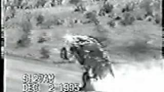 Robby Gordon Wheelie