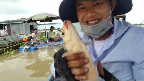 Tập 30: chiều 5 anh em rủ nhau trốn vợ đi câu đêm kết quả ngồi trúng ổ cá tra cá cóc kéo sướng cả ta