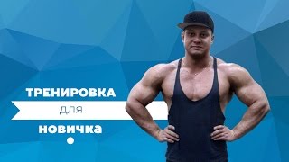 Первый раз в тренажерном зале? Тренировка для новичка.(, 2016-09-22T20:02:42.000Z)