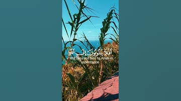أكتب شيء تأجر عليه ✋🌿🤍 #قرآن #شهر_رمضان #اكسبلور #سورة_الكهف #لايك