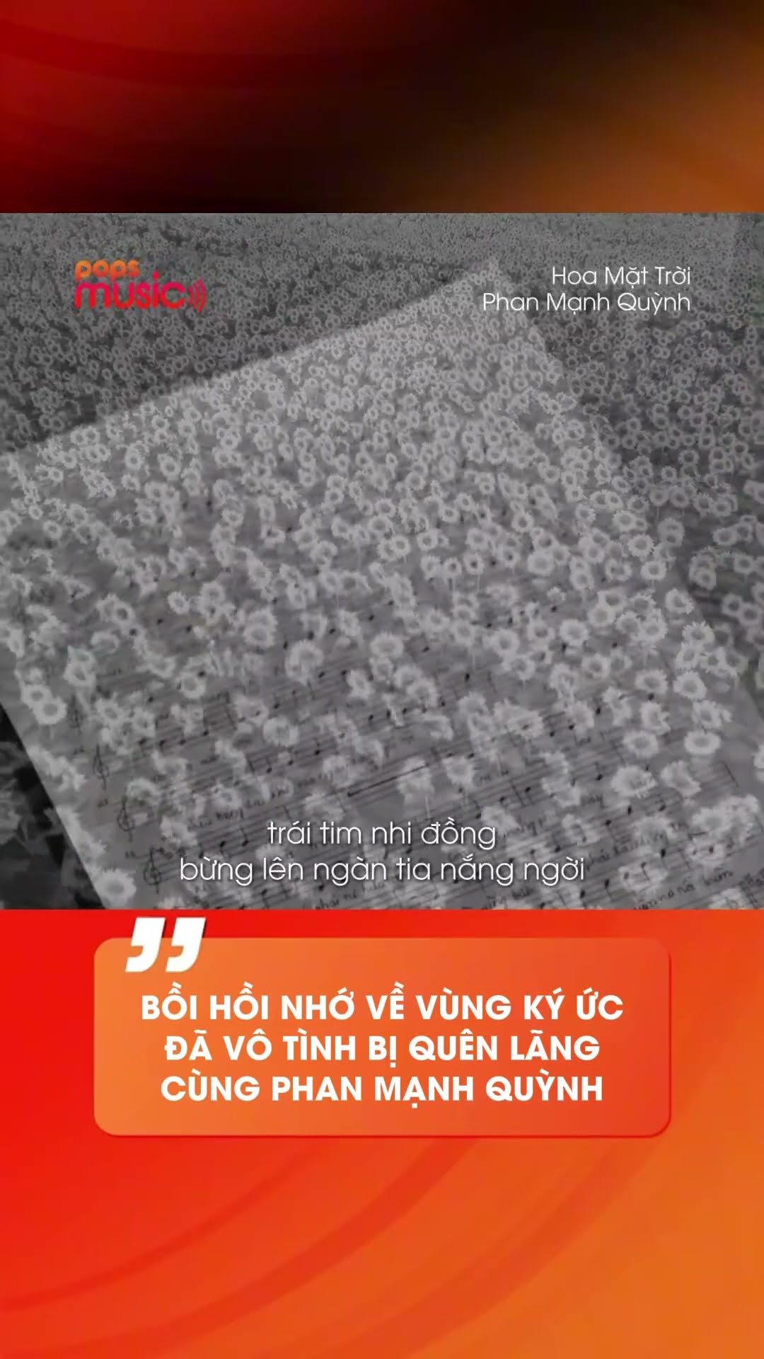 Bồi hồi nhớ về vùng ký ức đã vô tình bị quên lãng cùng Phan Mạnh Quỳnh #HoaMatTroi #PhanManhQuynh