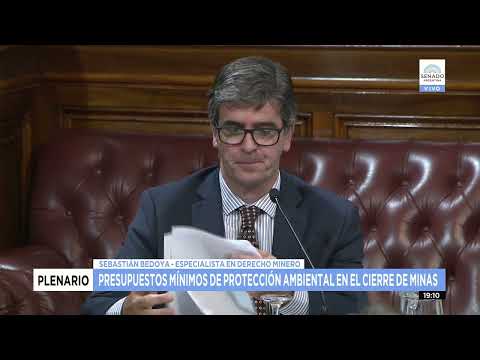 SEBASTIÁN VEDOYA - PLENARIO DE COMISIONES DE MINERÍA Y AMBIENTE 14-09-22