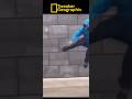 Tweakers Geographic Episode 28: “Air Ninjas”