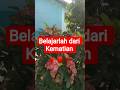 belajarlah dari kematian #shorts #belajar
