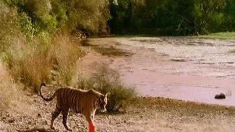 Physical part decomposition (CVPR 2016)