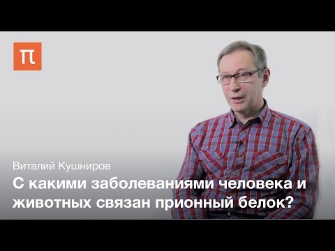Общие свойства прионов - Виталий Кушниров