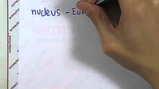 ormBio4 : เลคเชอร์ชีวะ ตอน06