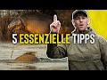Karpfenangeln an UNBEKANNTEN Gewässern! | Einsteiger Tutorial
