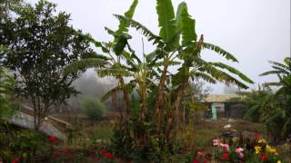 La REUNION Randonnée CSA Mafate - La Nouvelle   Marla   Col des Boeufs 6 et 7 décembre 2014