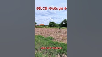 Đất Cần Giuộc. Diện tích 1000m2, khu đông dân cư, giá 1,1 tỷ, shr #bdscangiuoc
