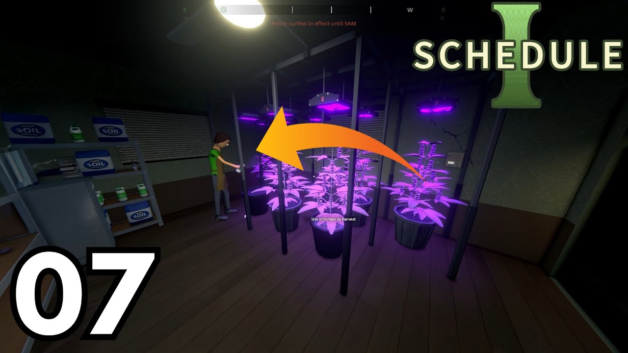 SCHEDULE 1 PART 7 | OUR FIRST EMPLOYEE!