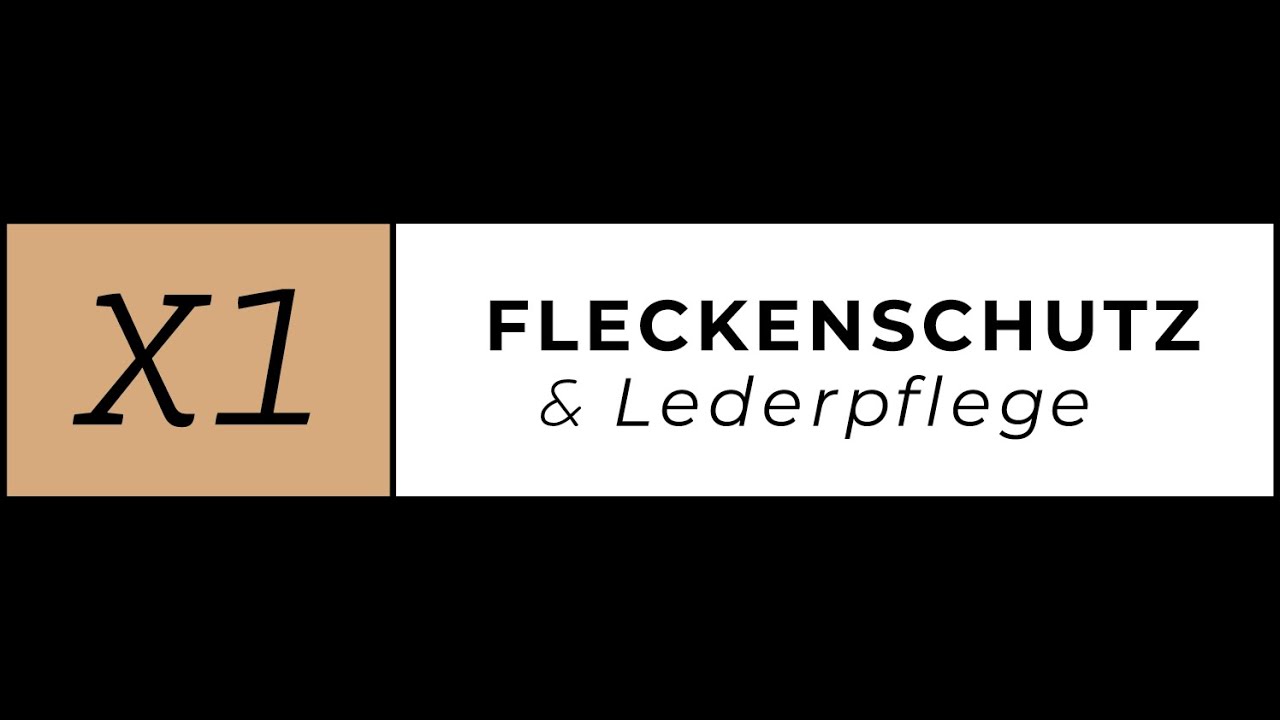 X1 Fleckenschutz & Pflege in Aktion!