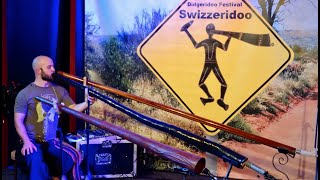 Download Lagu Swizzeridoo 2019 - Dubravko Lapaine MP3