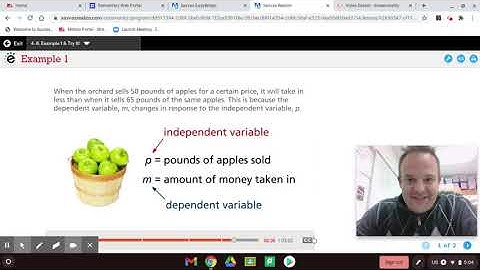 Independent and Dependent Variables Lesson 4-8 EnVision Lesson