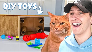 Kurt Tries Every DIY Cat Toy