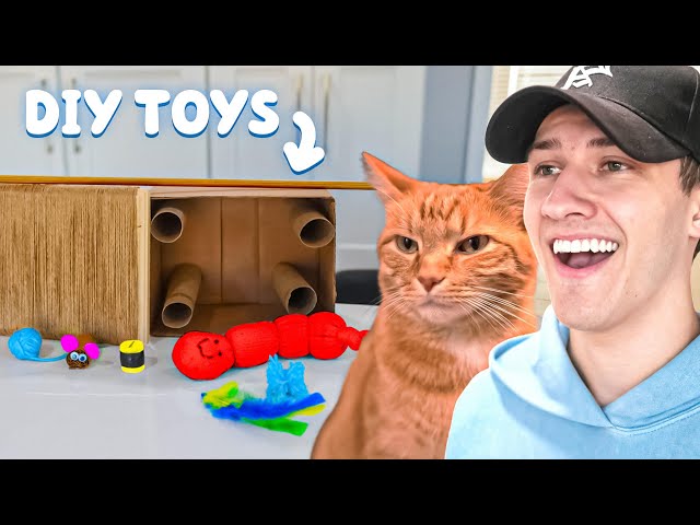 Easy Cat Toys DIY: Delight Your Feline! 3 sddefault