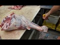 boning of beef tail- Обвалка яловичого задка