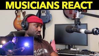 FIRST REACTION TO animals As Leaders brain dance