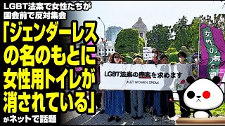 LGBT法案で女性たちが国会前で反対集会「ジェンダーレスの名のもとに、女性用トイレが消されている」が話題