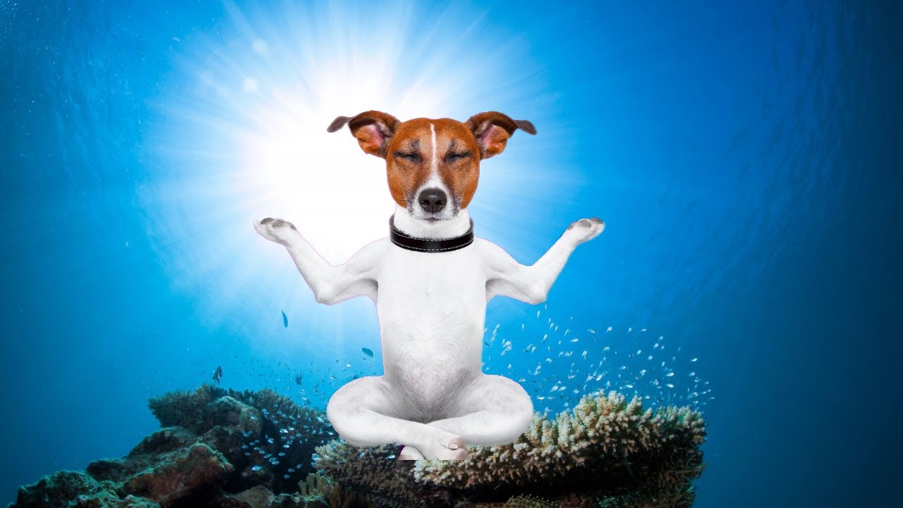 beautiful underwater trance music