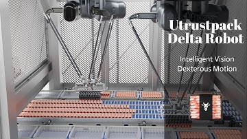 Meat Rolls Beef Slices Sorting Production Line Automatic Packaging Machine 3 Axis Delta Robot