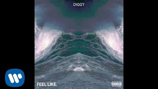 Celebrity Diggy - FEEL LIKE. [Official Audio] Net Worth