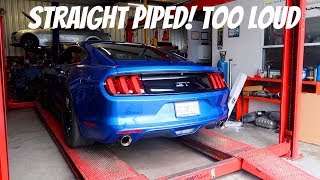 Straight Piped Coyote Mustang is BRUTALLY Loud