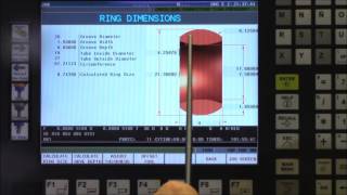 Ringtech Ring Inspection Screen