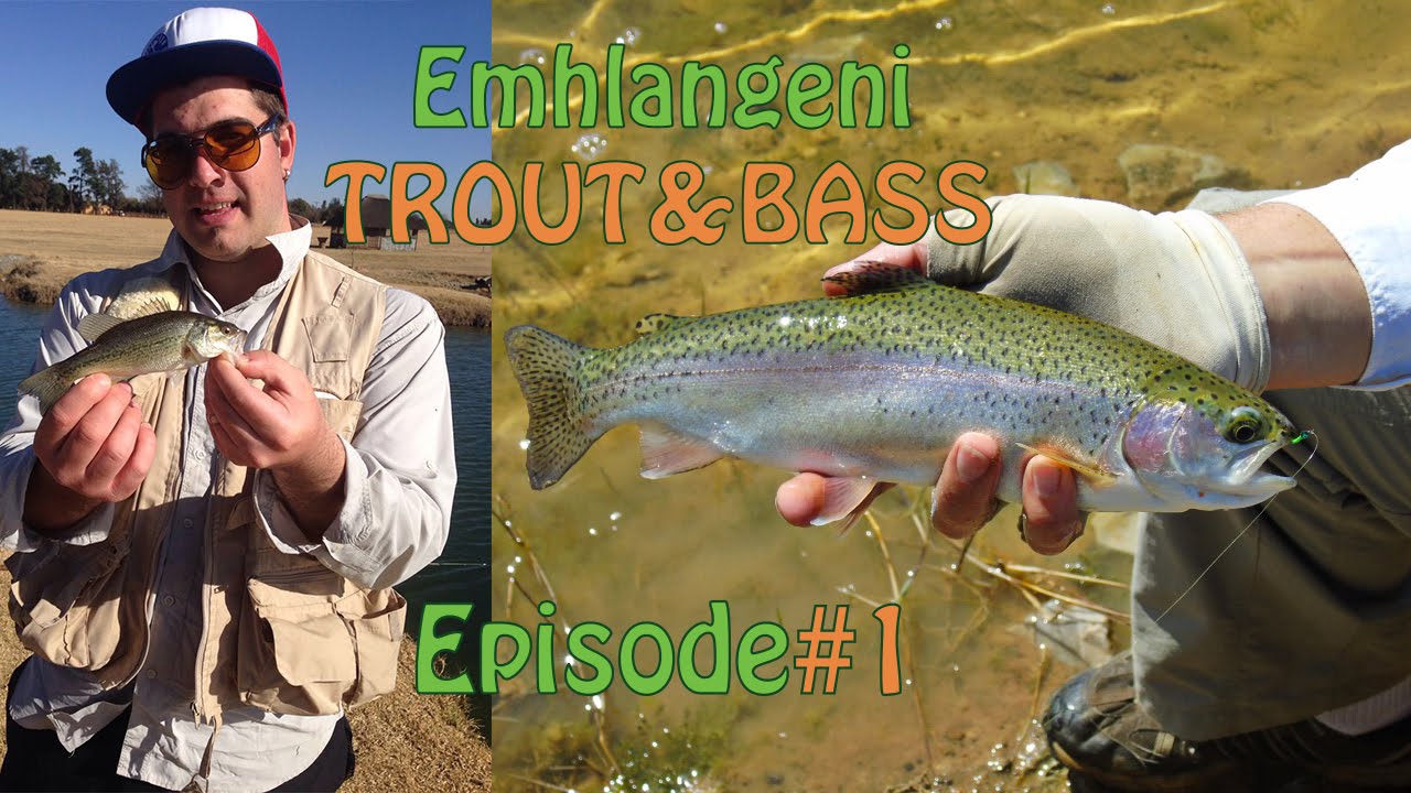 Emhlangeni Trout Farm Fly Fishing For Trout In Gauteng Fish The Fly