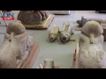 Inside monuments restoration labs of the Grand Egyptian Museum