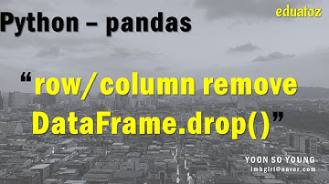 [PYTHON][pandas_43] drop 메서드로 불필요한 행, 열 삭제하기