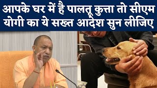 Uttar Pradesh: आपके घर में है Pet Dog तो CM Yogi Adityanath का ये सख्त आदेश सुन लीजिए | NBT screenshot 4