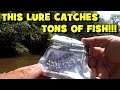 This LURE Caught SO MANY FISH!!! (Creek Fishing w/ the EuroTackle Anisoptera)