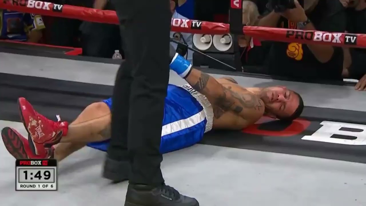WARNING - Terrence Williams Briefly Paralyzes Jonathan Ariel Sosa With a Double Left Hook Knockout!