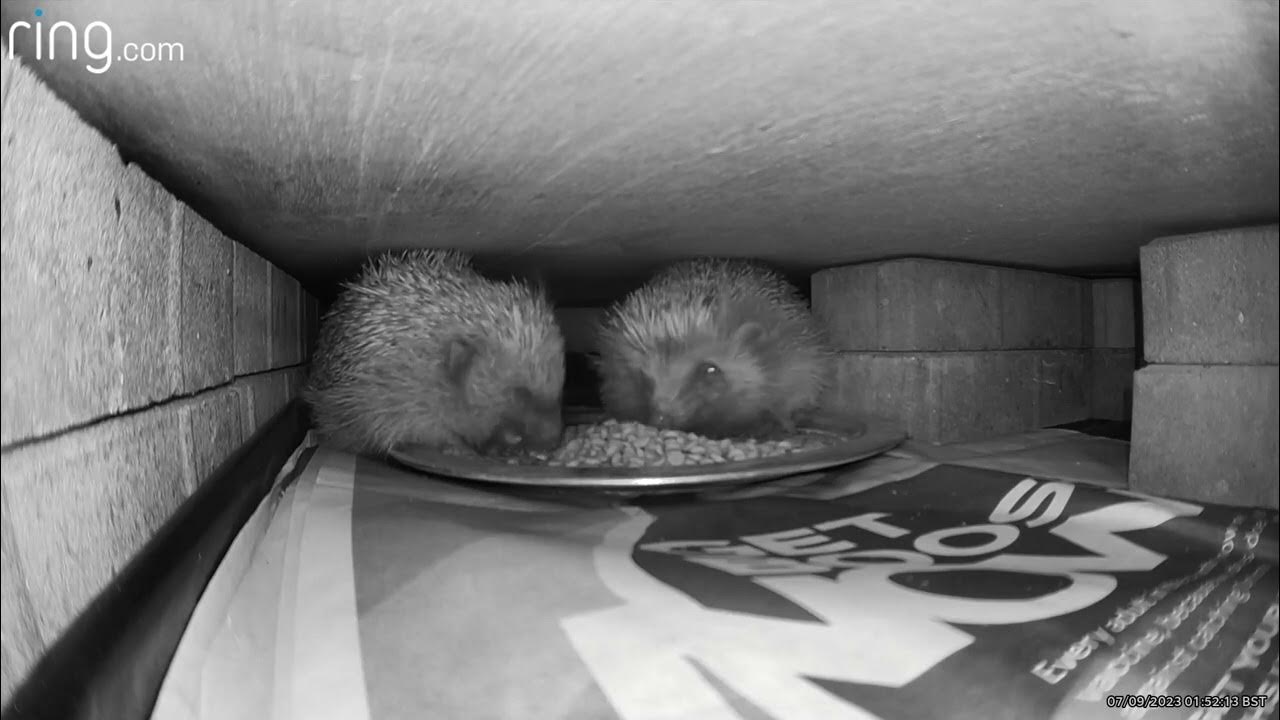 Don't hog it all to yourself YouTube