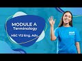 Module A Terminology | HSC Year 12 English Advanced