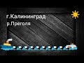 Рыбалка в Калининграде р Преголя.  Ловля окуня с берега.