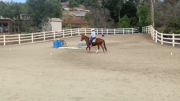 LHDS PROMETIDA and Cheryl McCabe OHSA 11/22
