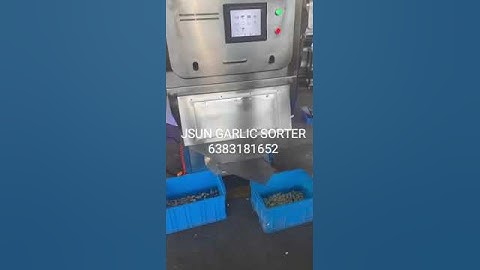 JSUN GARLIC SORTING MACHINE