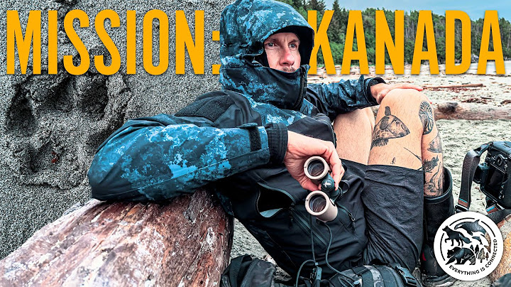 Das sind die Wölfe von 7 vs. Wild - Auf der Jagd nach dem Küstenwolf | Mission: Kanada